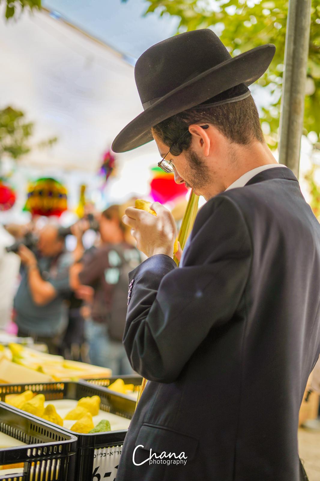 הירושלמים בשוק ארבעת המינים