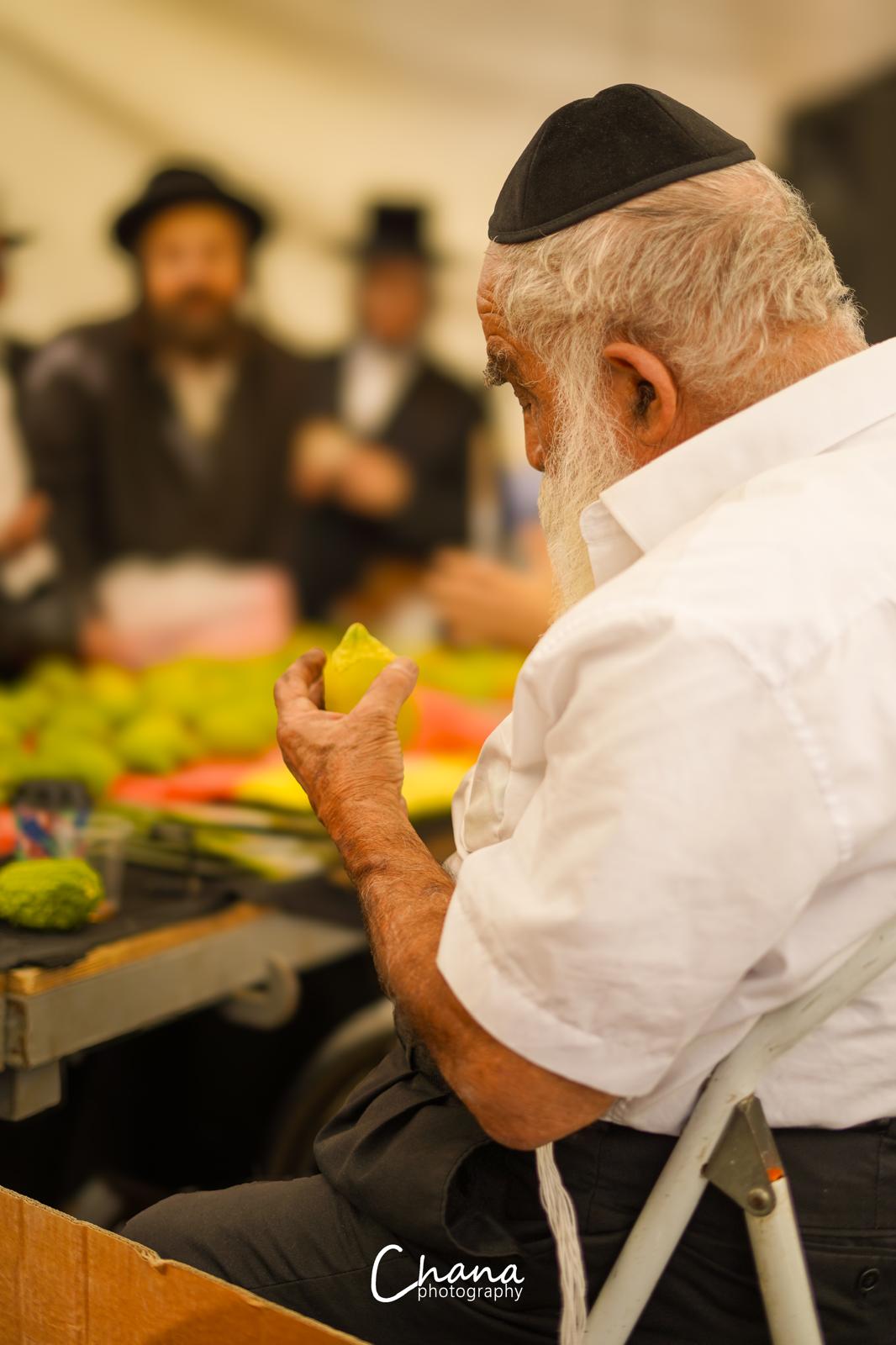 הירושלמים בשוק ארבעת המינים
