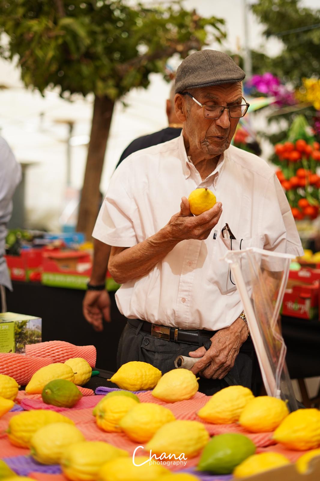 הירושלמים בשוק ארבעת המינים