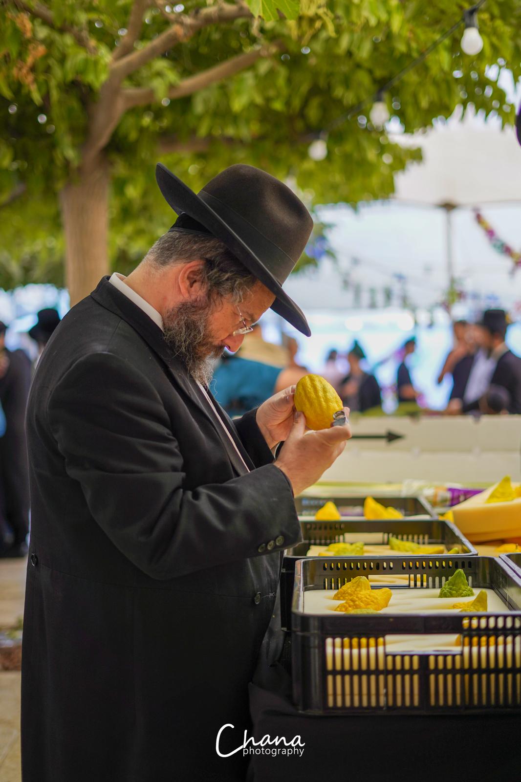 הירושלמים בשוק ארבעת המינים