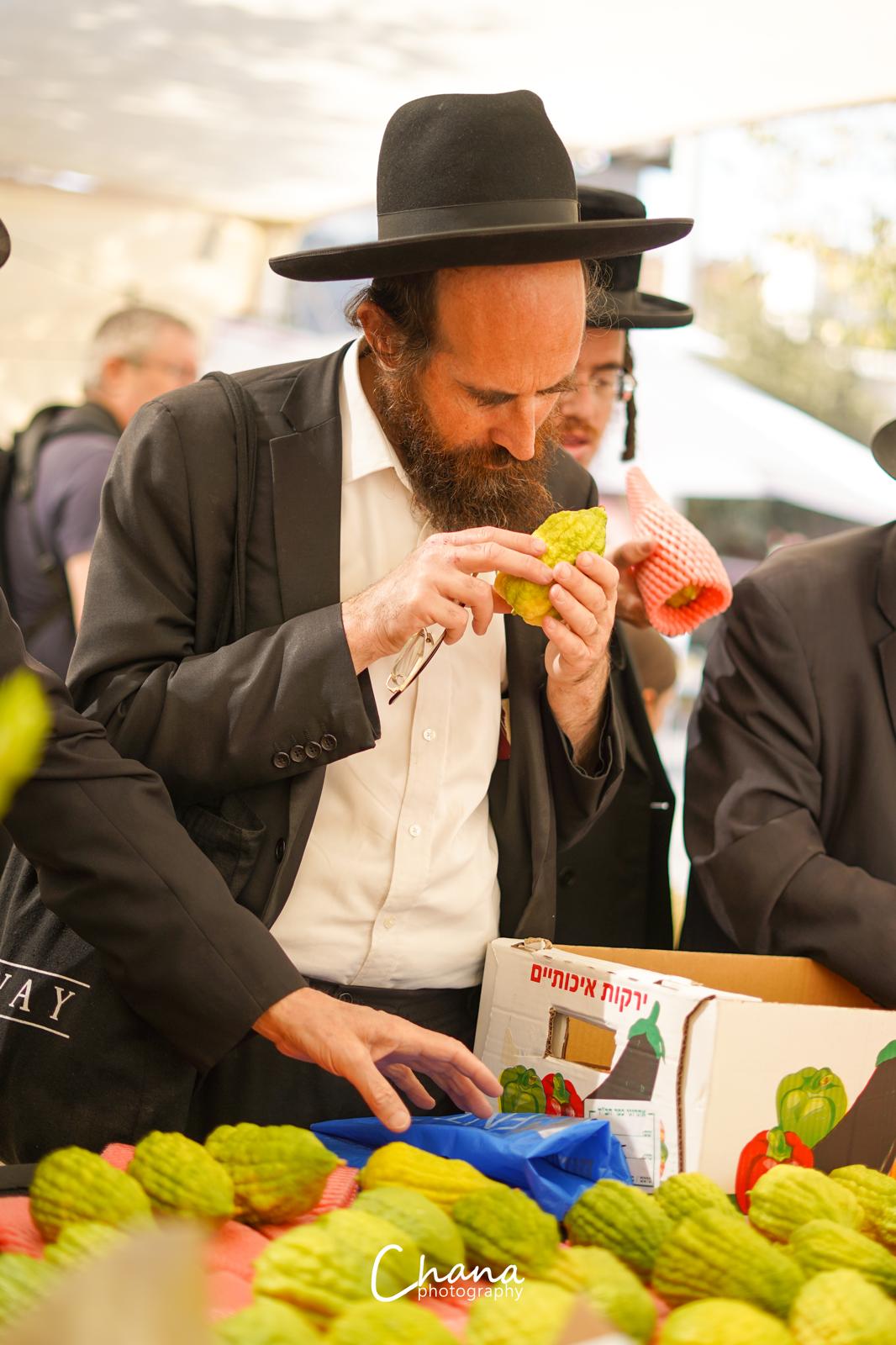 הירושלמים בשוק ארבעת המינים