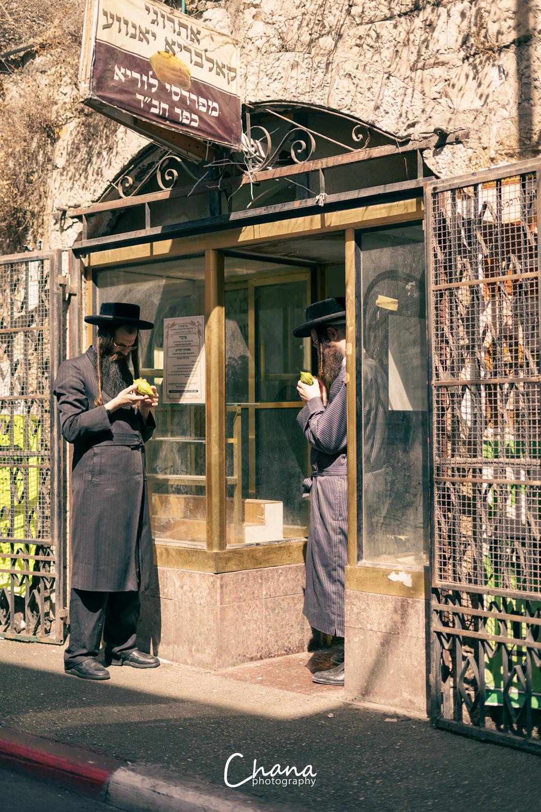 הירושלמים בשוק ארבעת המינים