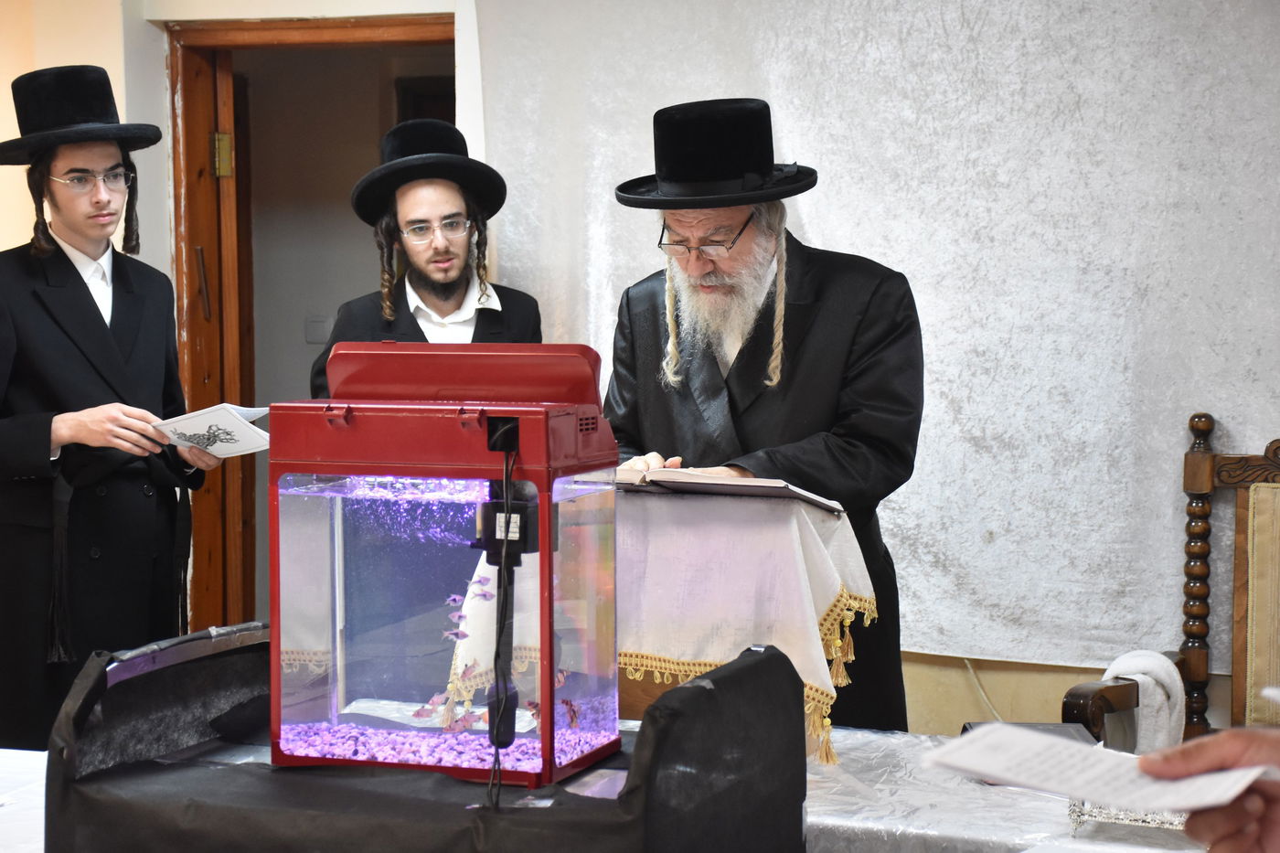 מראות ערב ומוצאי יום הכיפורים באשלג