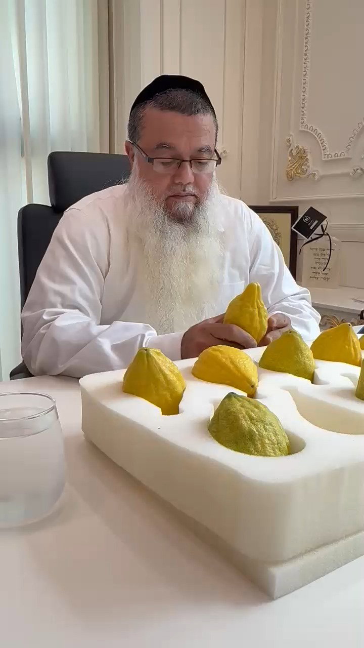 הגאון רבי יגאל כהן בבדיקת אתרוגים