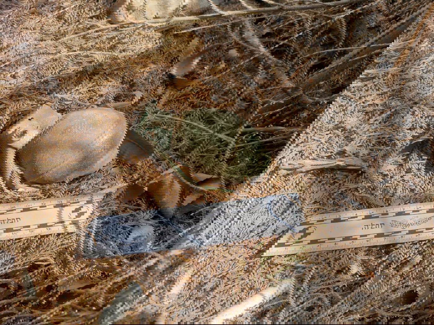 רימון הרסס שאותר