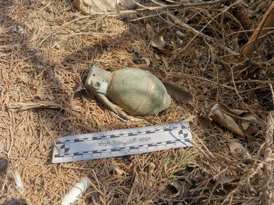 רימון הרסס שאותר