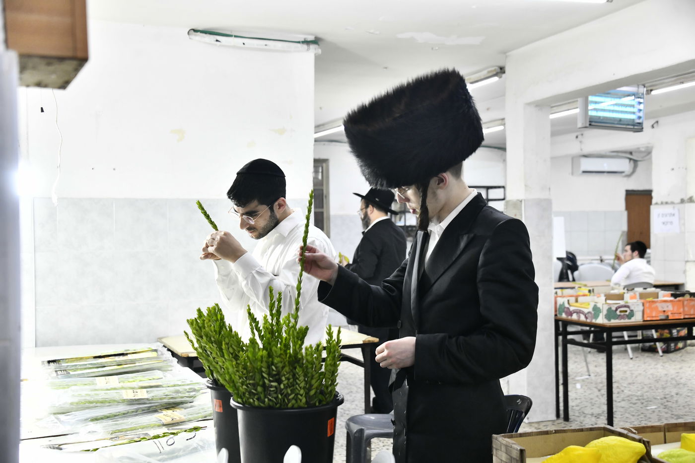 מראות ערב חג הסוכות בבני ברק