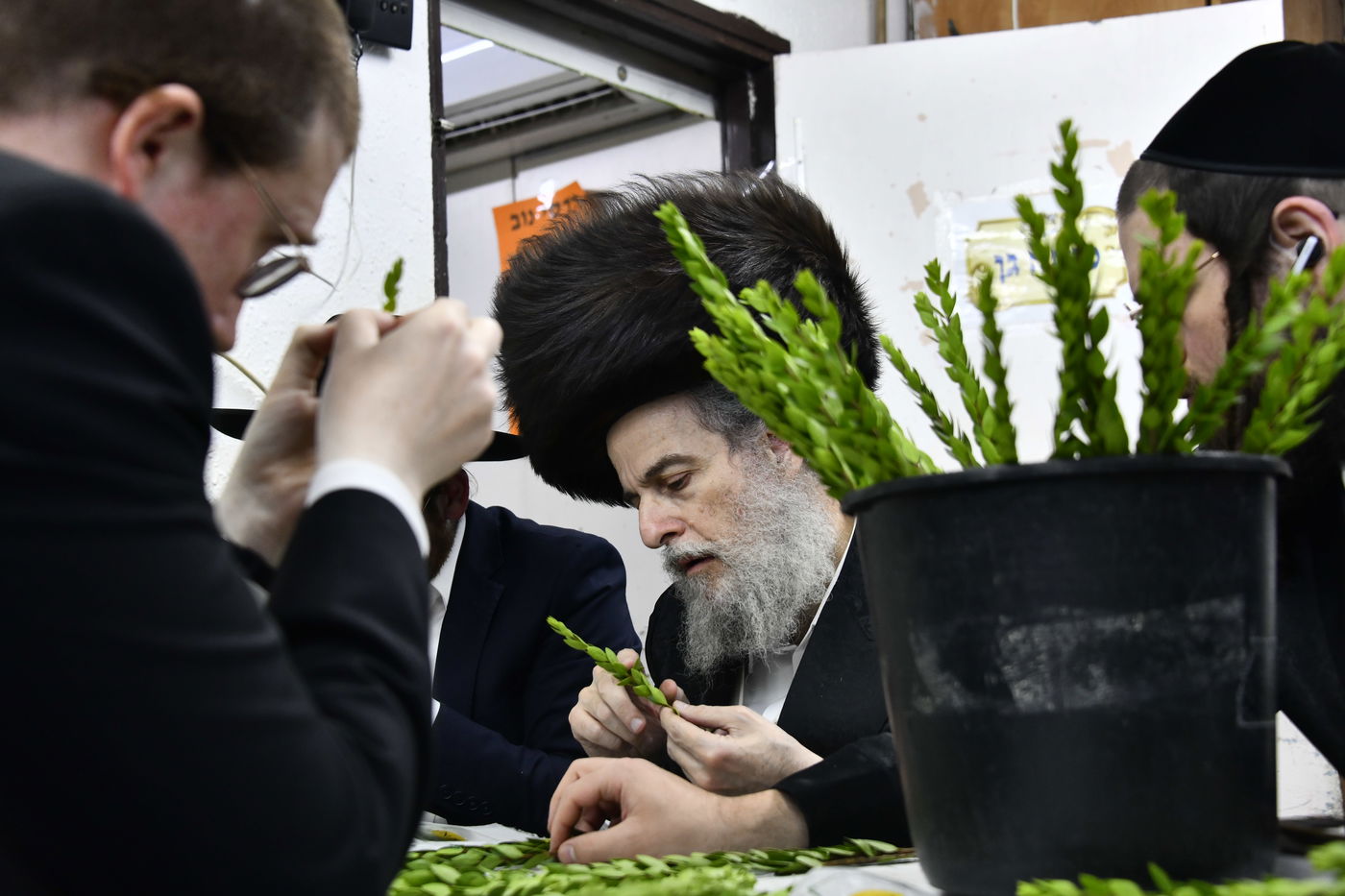 מראות ערב חג הסוכות בבני ברק