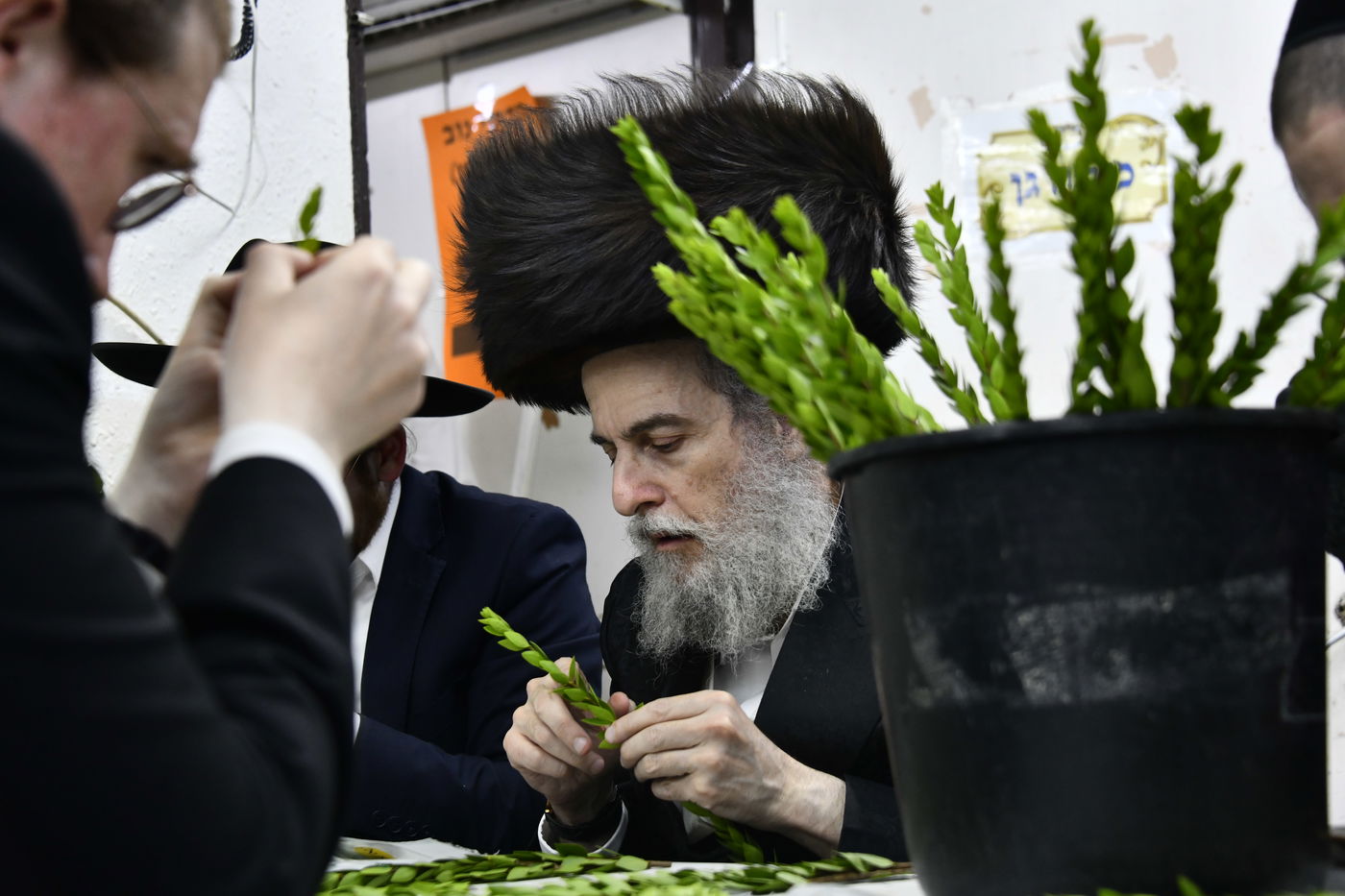 מראות ערב חג הסוכות בבני ברק