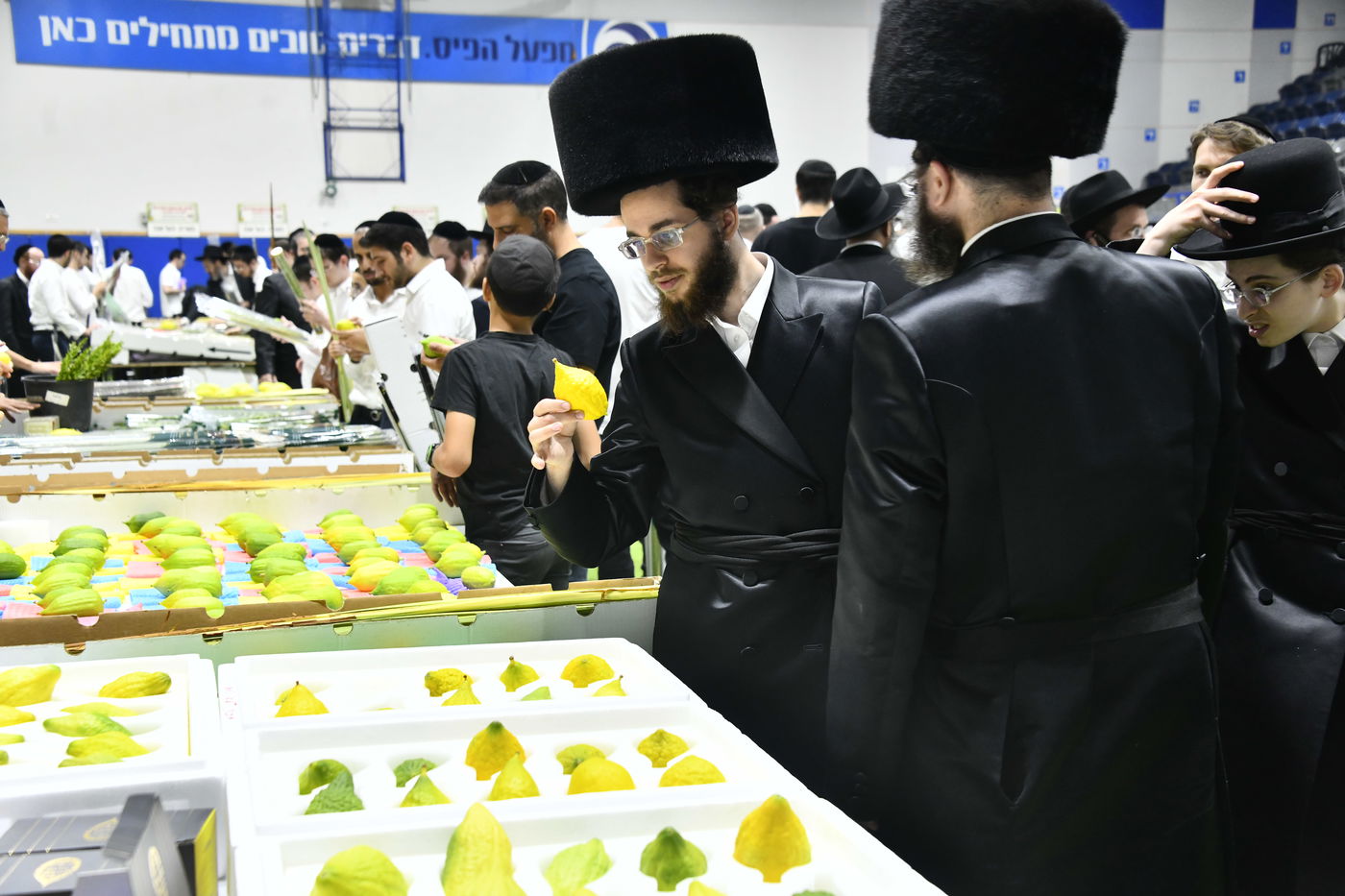 מראות ערב חג הסוכות בבני ברק