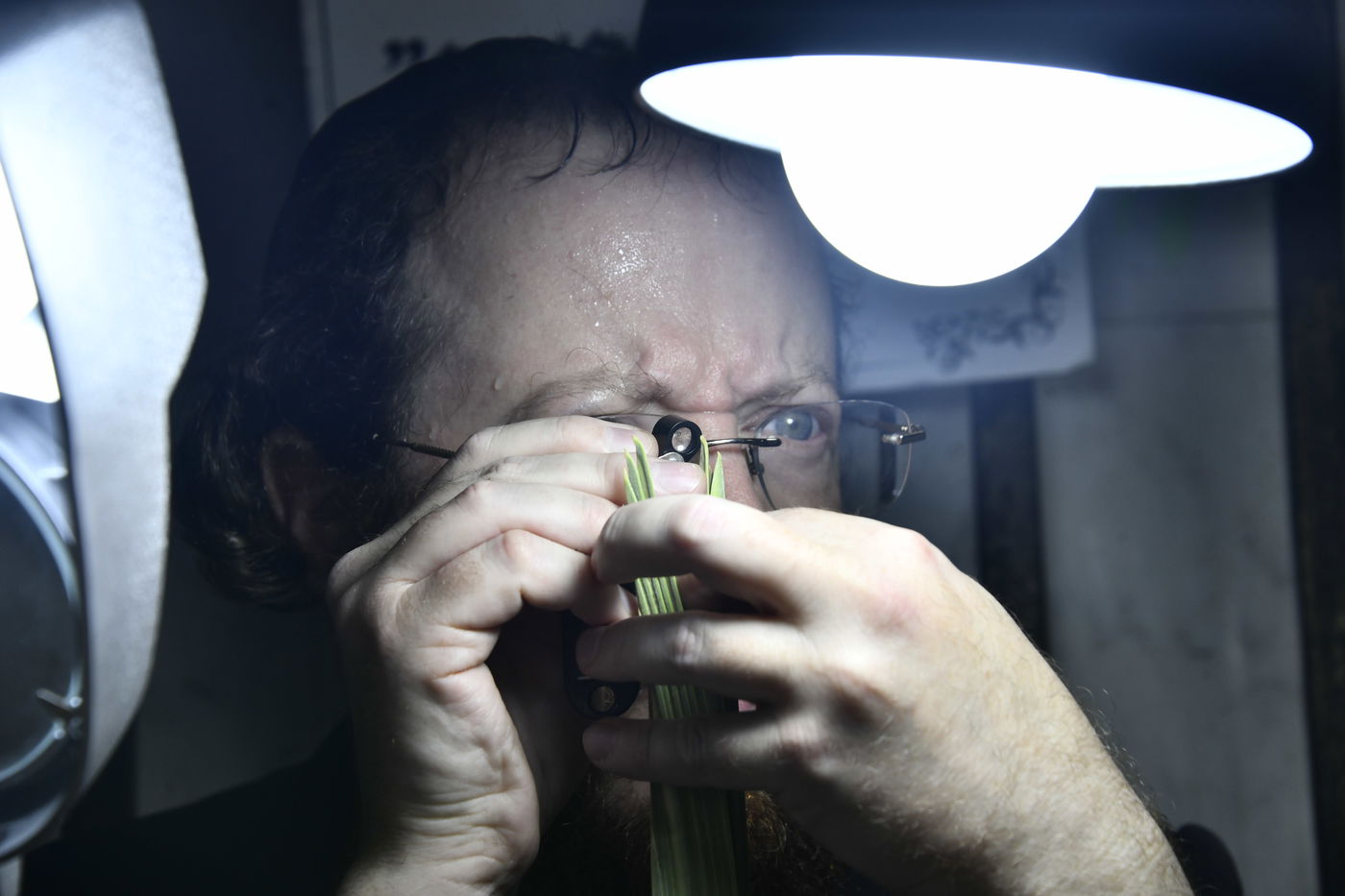 מראות ערב חג הסוכות בבני ברק