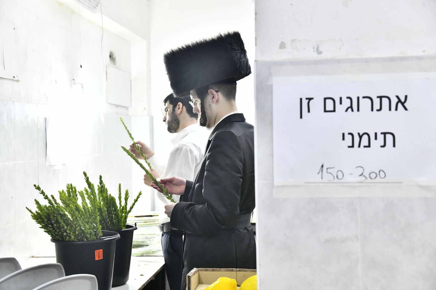 מראות ערב חג הסוכות בבני ברק