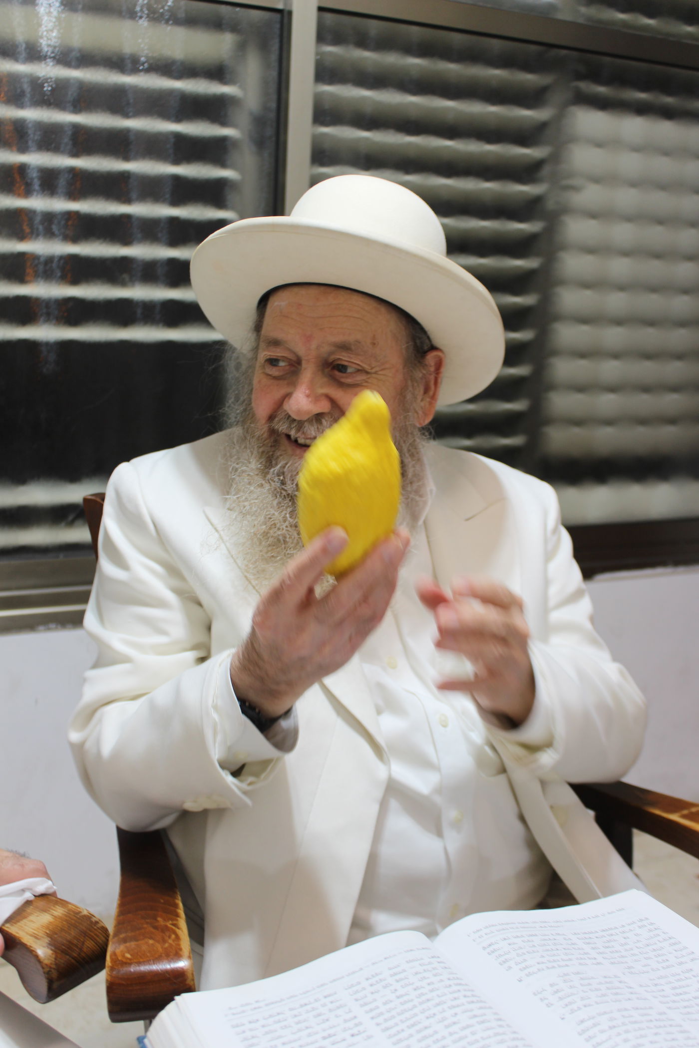 הגאון רבי דוד בצרי בבחירת אתרוג לחג הסוכות