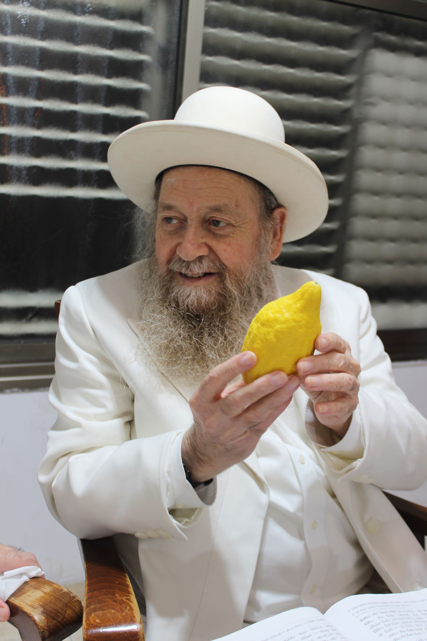 הגאון רבי דוד בצרי בבחירת אתרוג לחג הסוכות