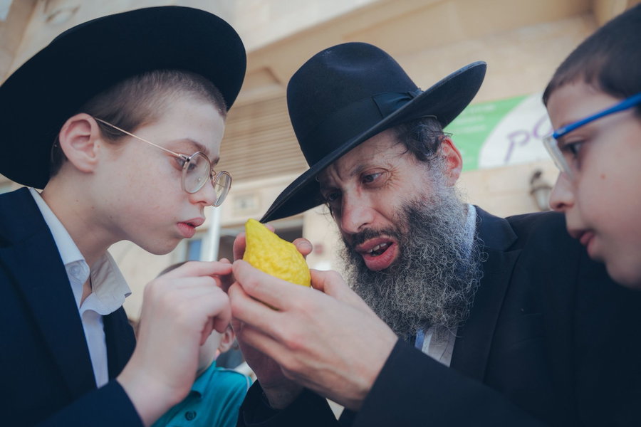 מדקדקים במצוות: כך בחרו בשווקי ארבעת המינים את הסט המהודר | תיעוד