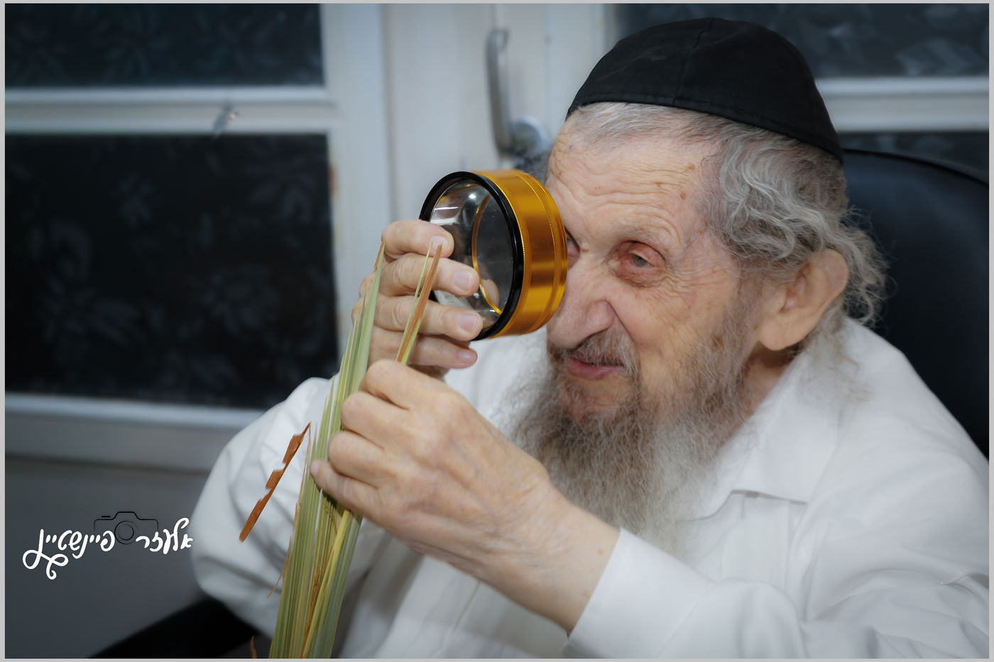 הגאון רבי דב לנדו בבדיקת לולבים