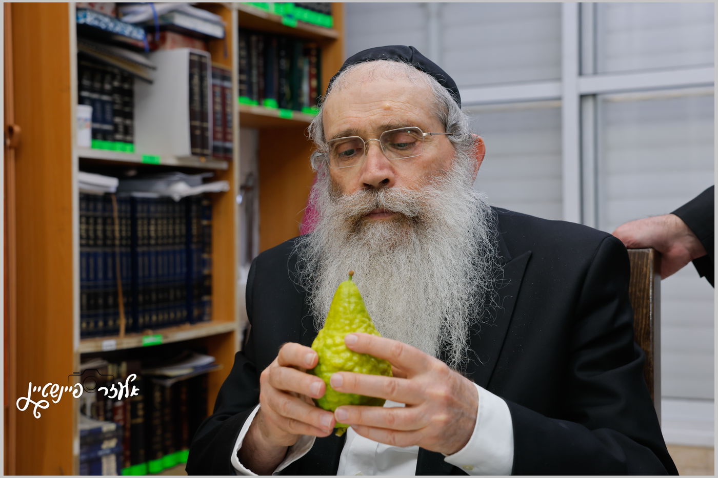 הגאון רבי שרגא שטיינמן בבדיקת אתרוגים