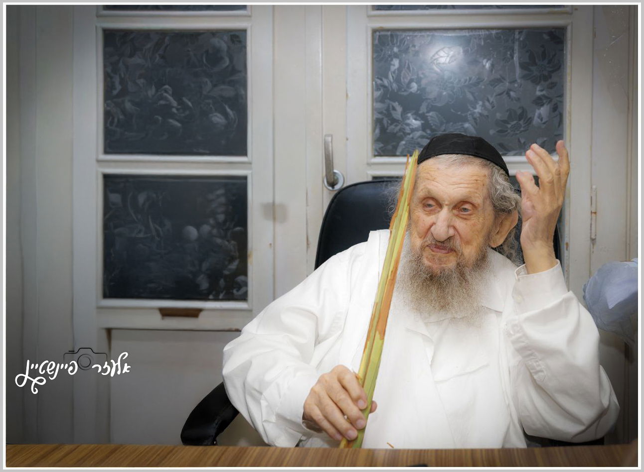 הגאון רבי דב לנדו בבדיקת לולבים