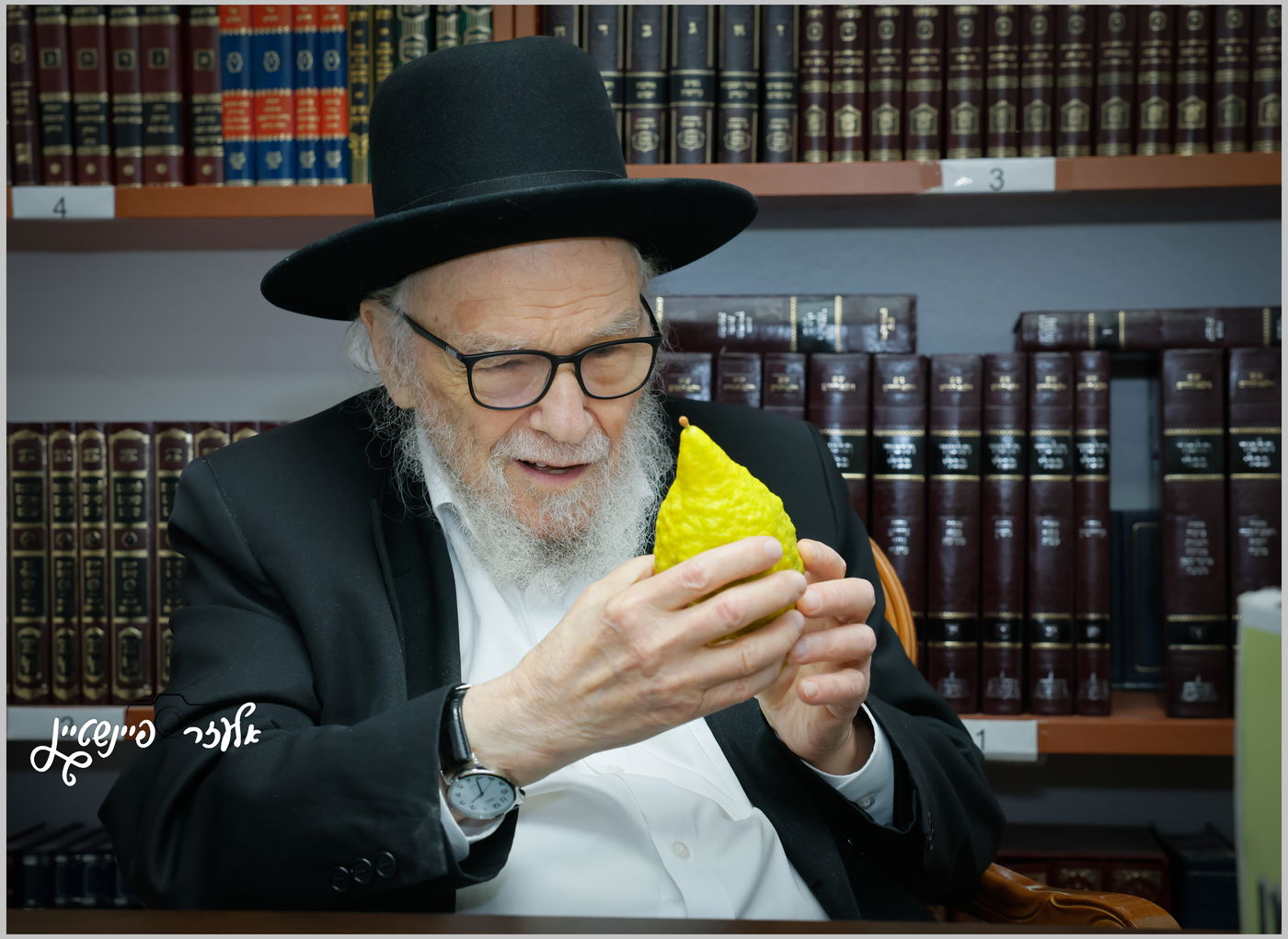 הגאון רבי משה הלל הירש בבדיקת אתרוגים