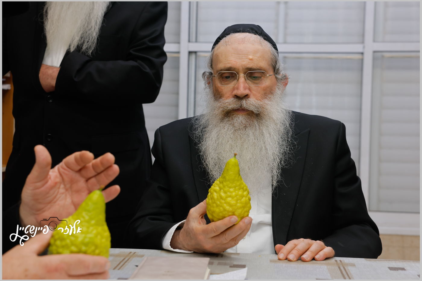 הגאון רבי שרגא שטיינמן בבדיקת אתרוגים