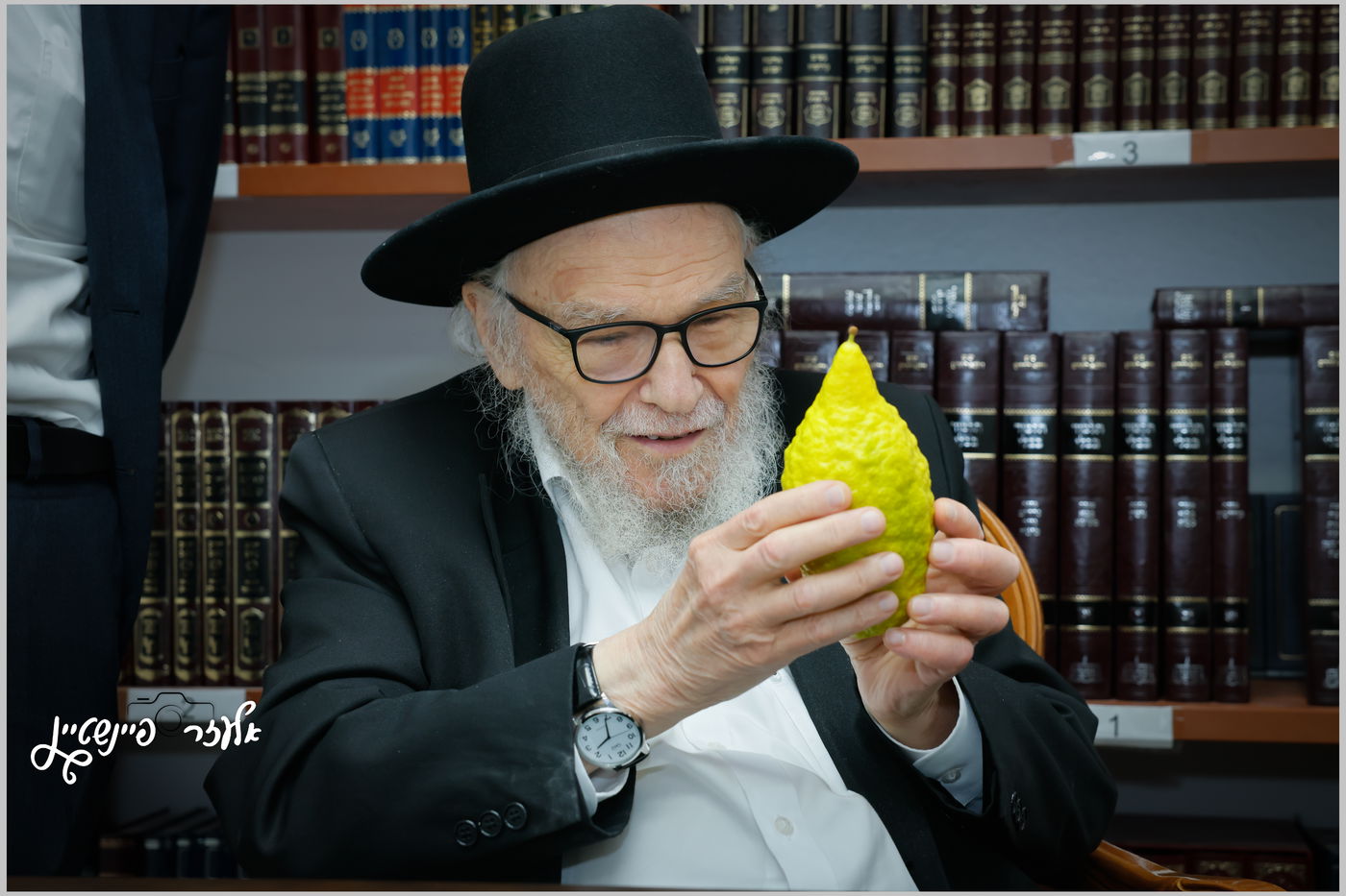 הגאון רבי משה הלל הירש בבדיקת אתרוגים