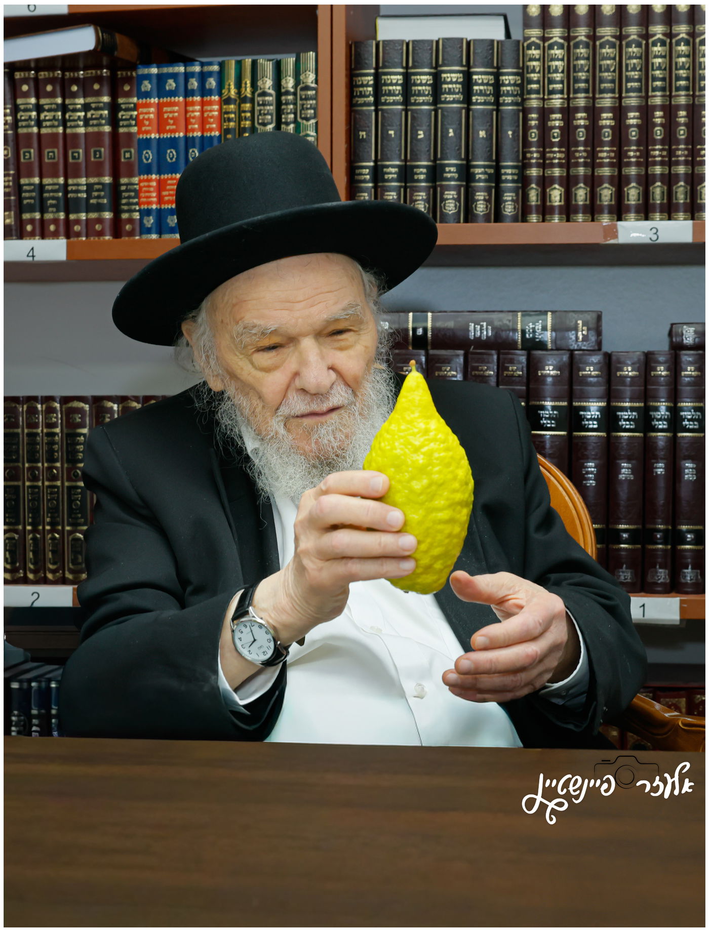 הגאון רבי משה הלל הירש בבדיקת אתרוגים