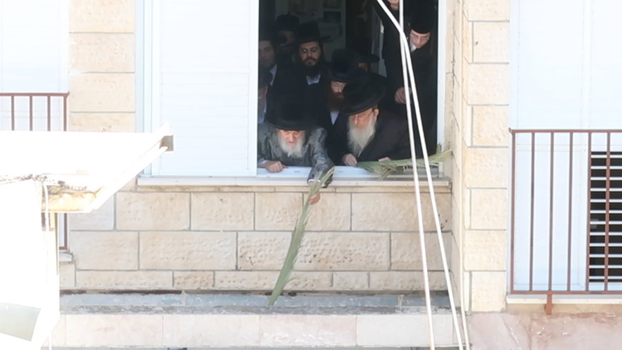 האדמו"ר מויז'ניץ בהנחת סכך ערב סוכות