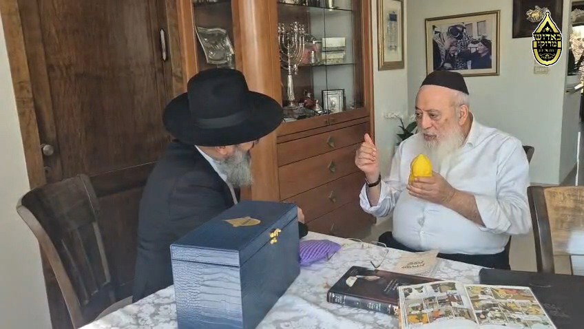 הגרש"מ עמאר בבדיקת אתרוגים