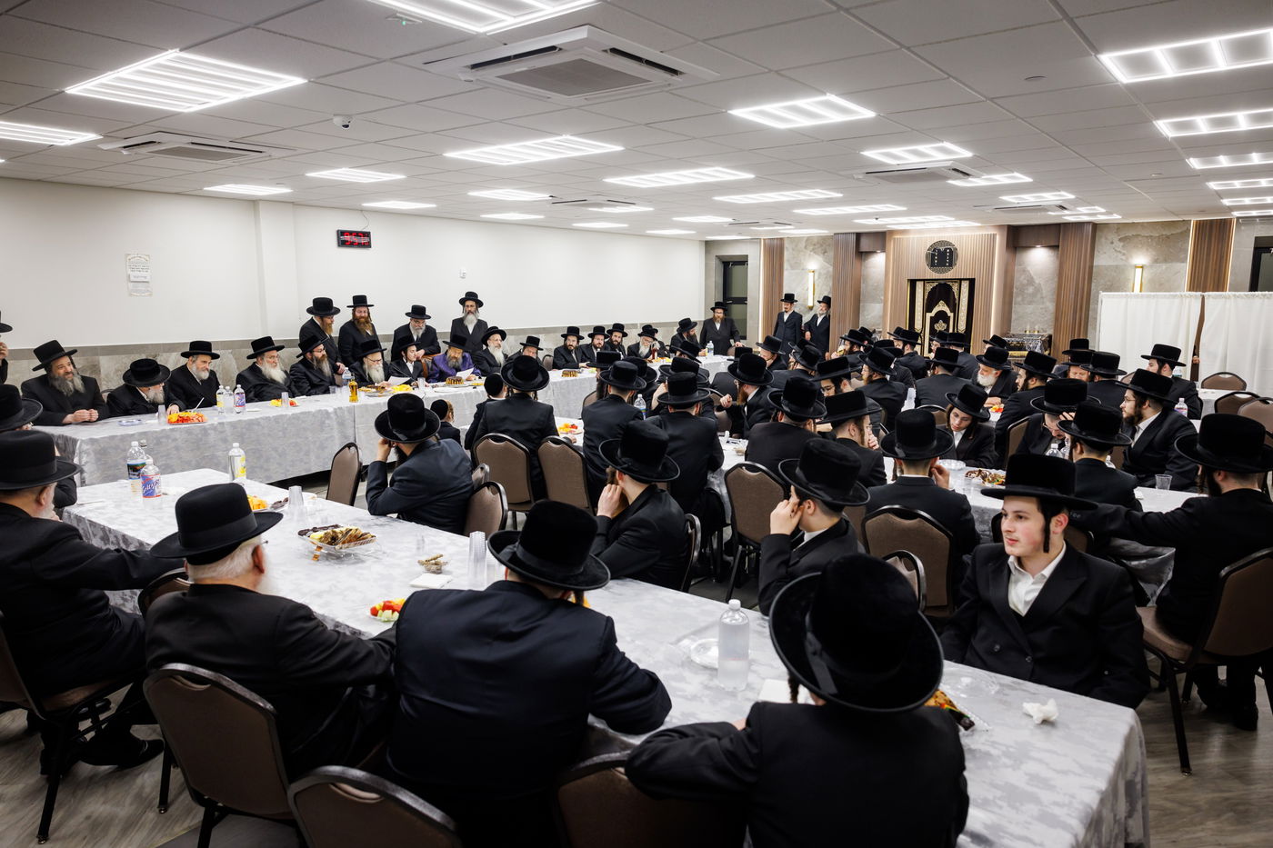 שמחת אירוסי נכדי האדמו"ר מבאבוב 45