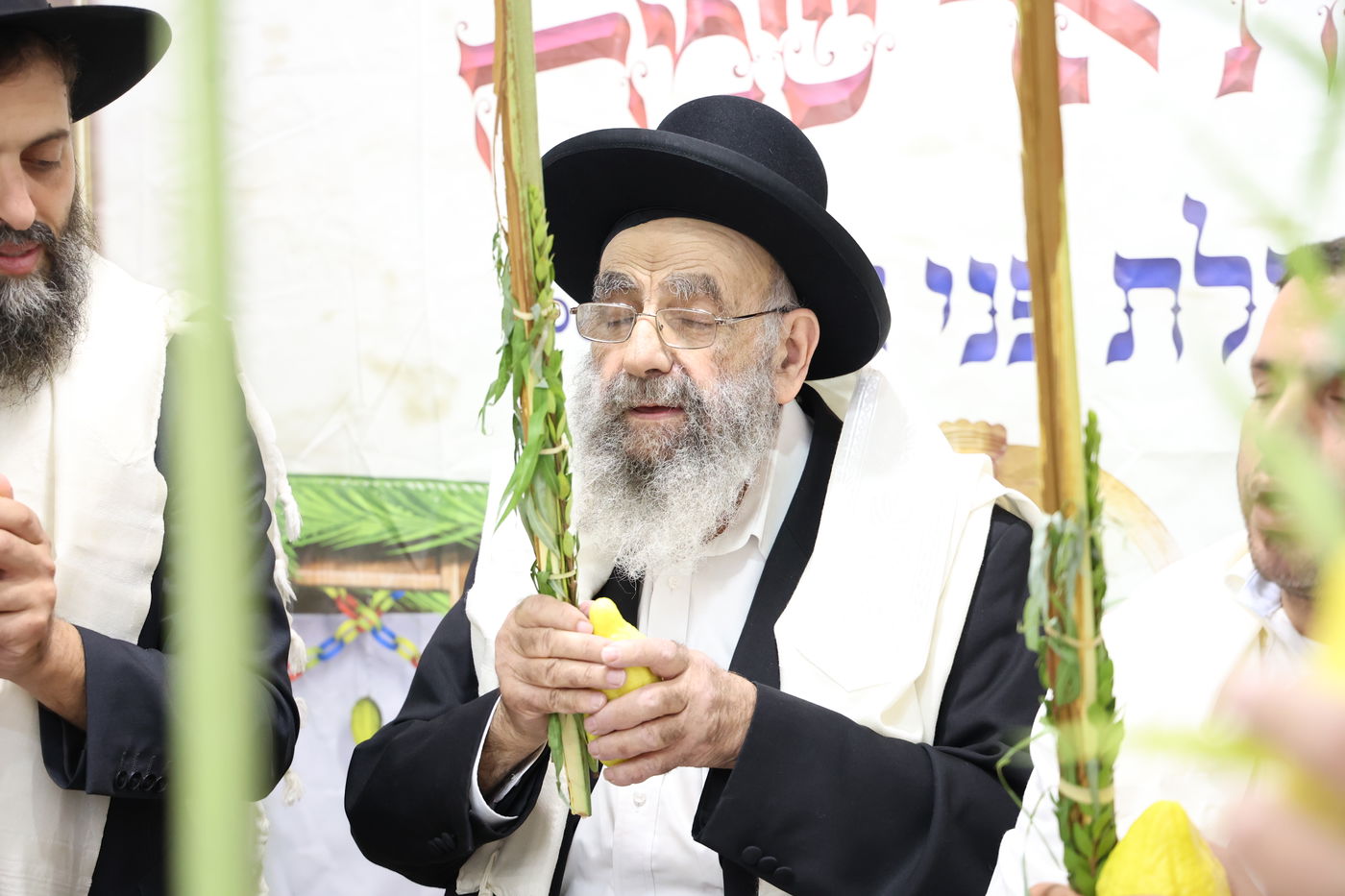 הגאון רבי משה צדקה בנטילת לולב