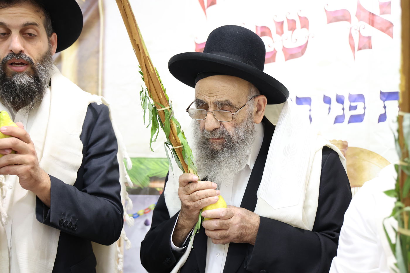 הגאון רבי משה צדקה בנטילת לולב
