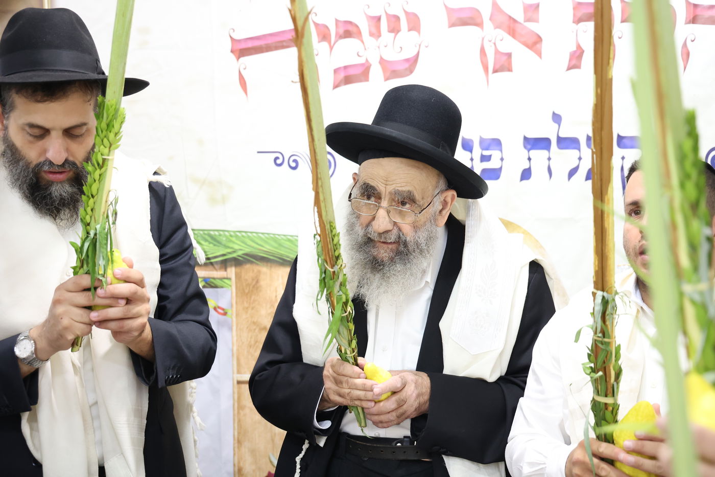 הגאון רבי משה צדקה בנטילת לולב