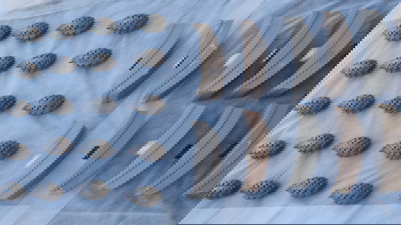 תיעוד תפיסת האמל"ח האיראני שיועד ליו"ש