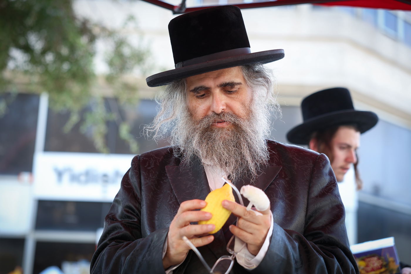 צפת בערב החג