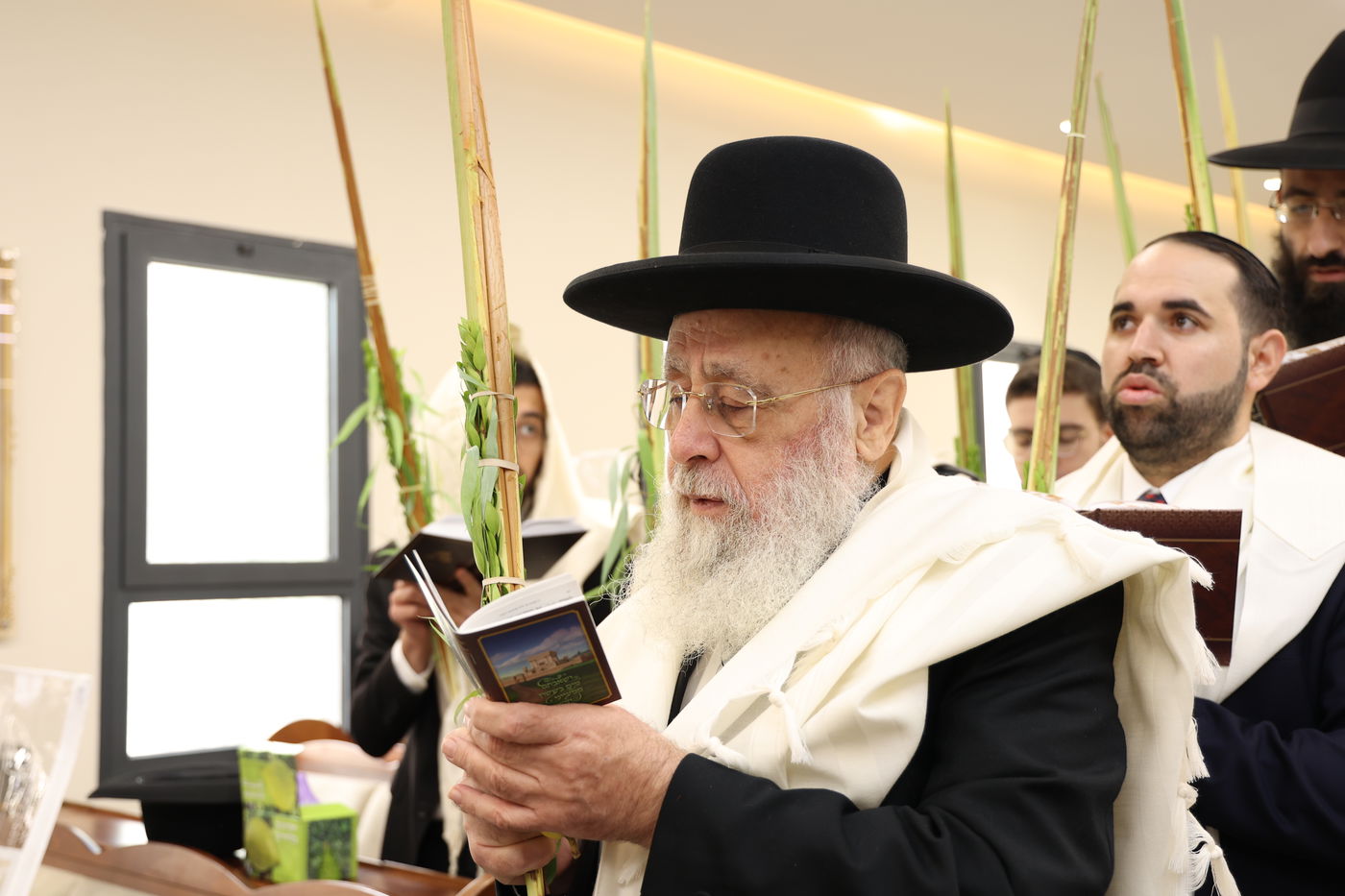 הראשל"צ הגאון רבי יצחק יוסף בנטילת לולב