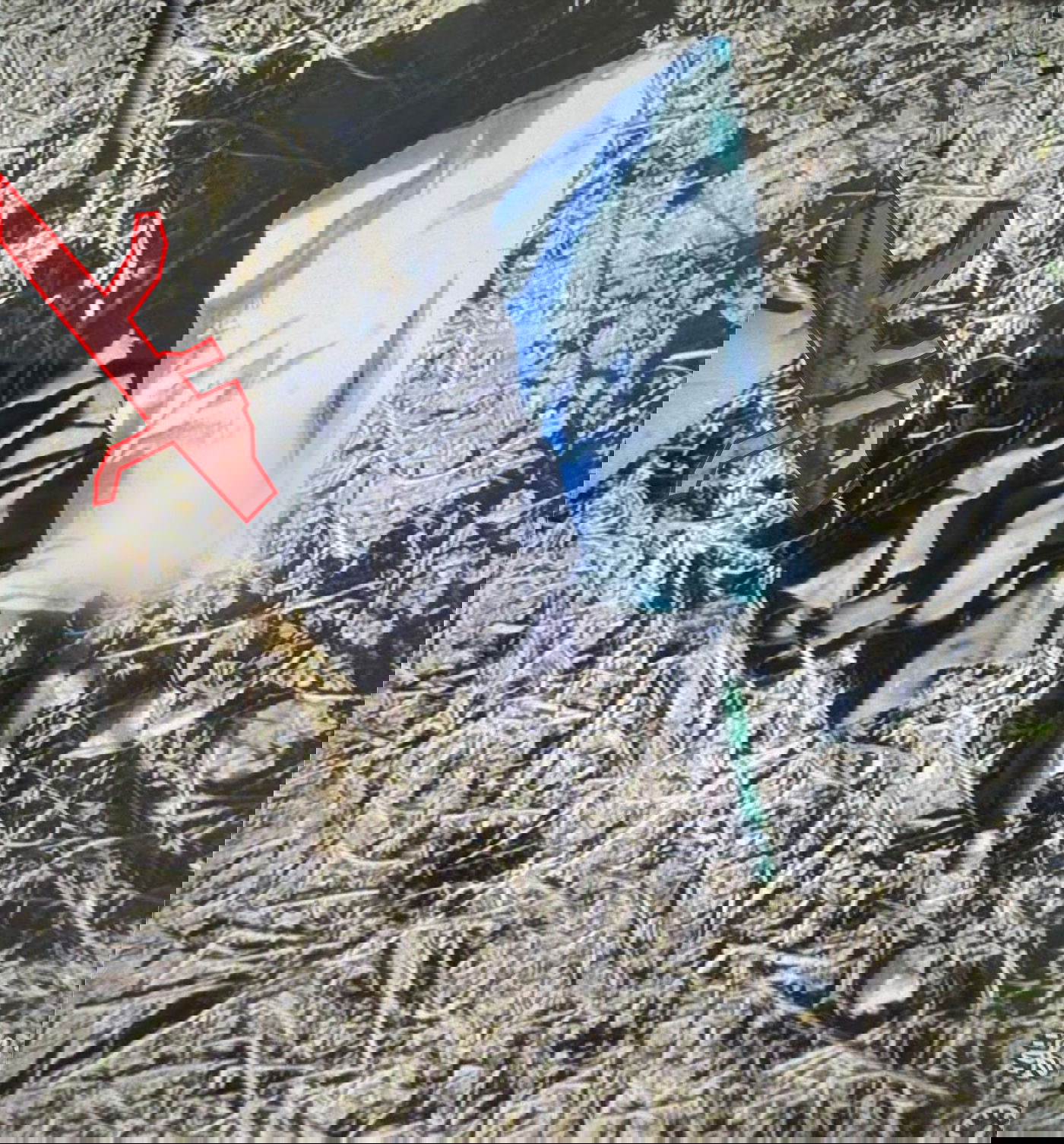 נשק שנמצא על המחבלים