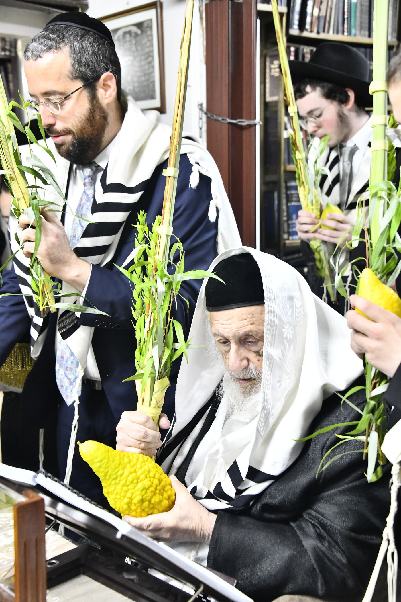 הגרב"ד פוברסקי בנטילת לולב