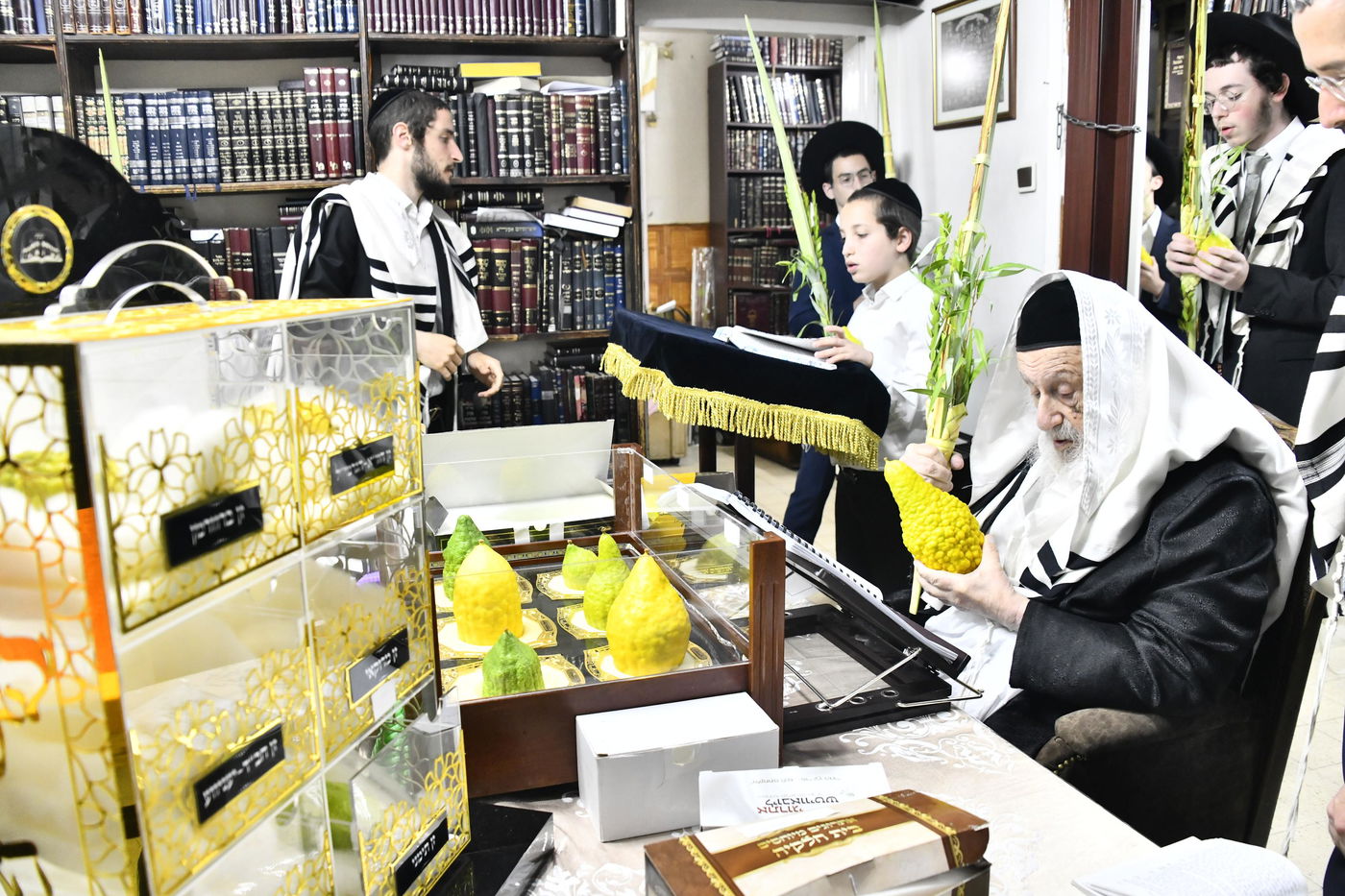 הגרב"ד פוברסקי בנטילת לולב