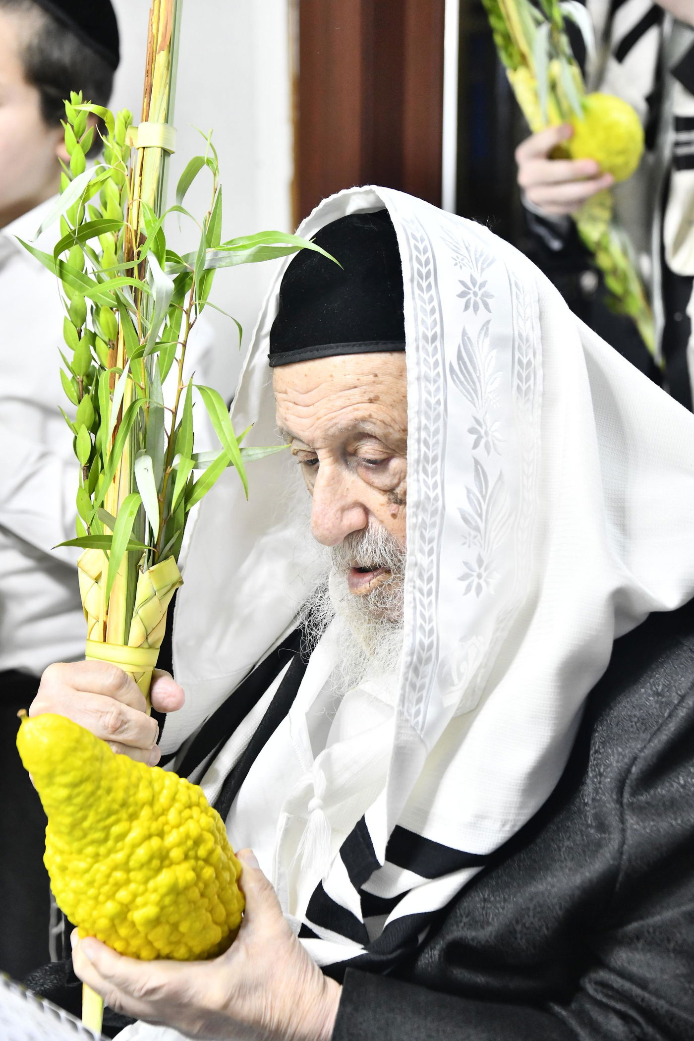 הגרב"ד פוברסקי בנטילת לולב