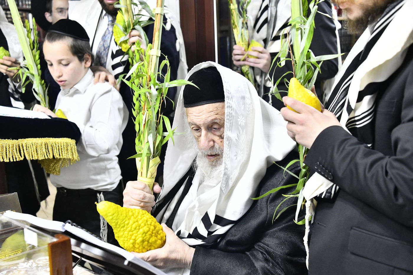 הגרב"ד פוברסקי בנטילת לולב
