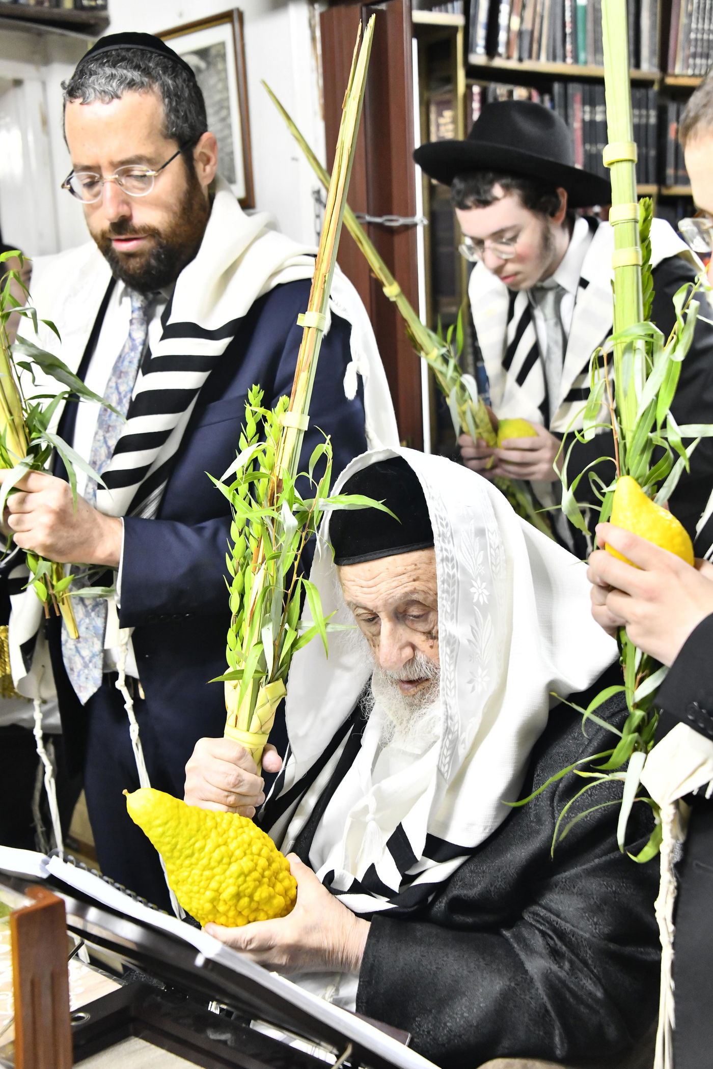 הגרב"ד פוברסקי בנטילת לולב