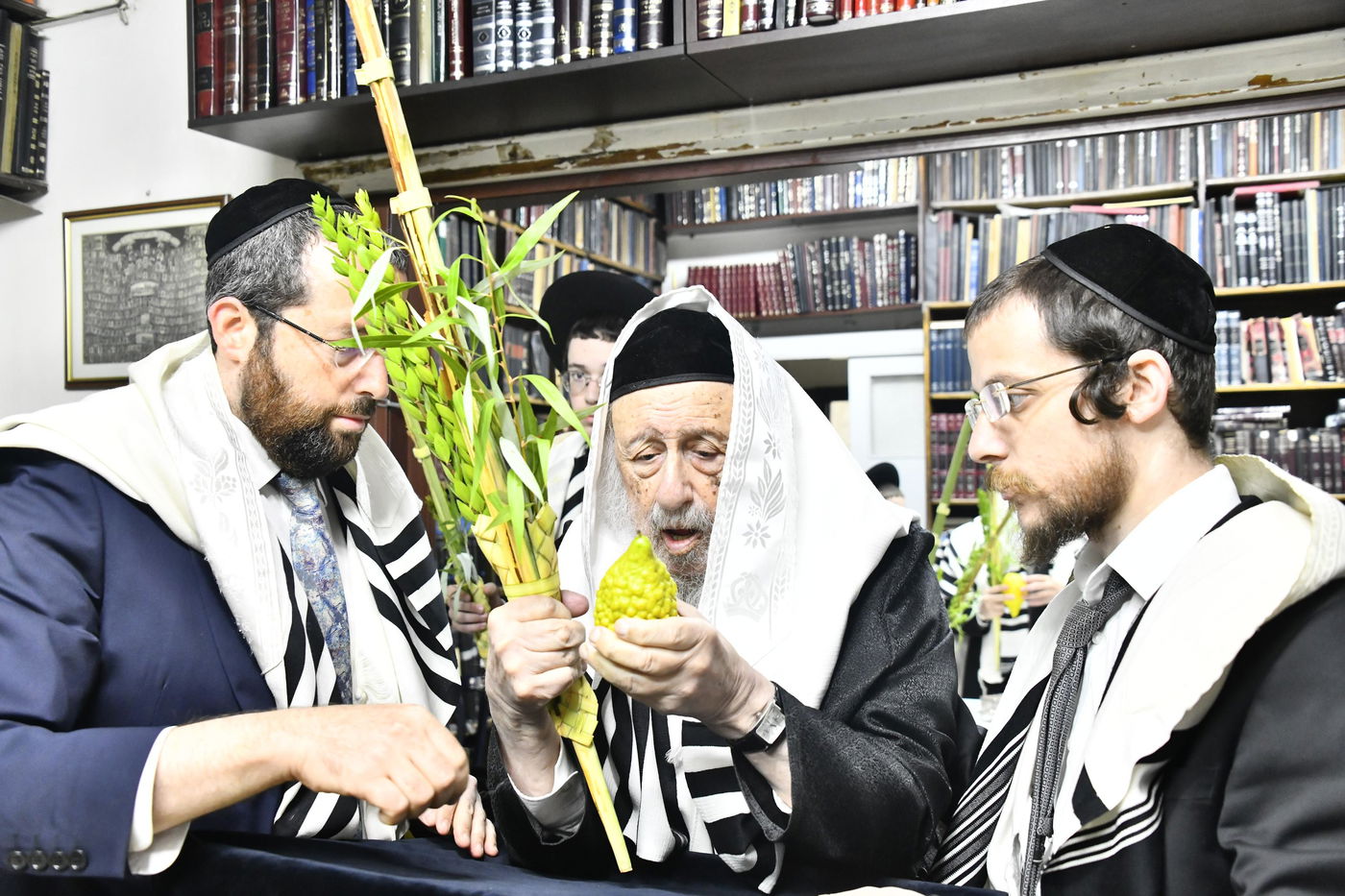 הגרב"ד פוברסקי בנטילת לולב