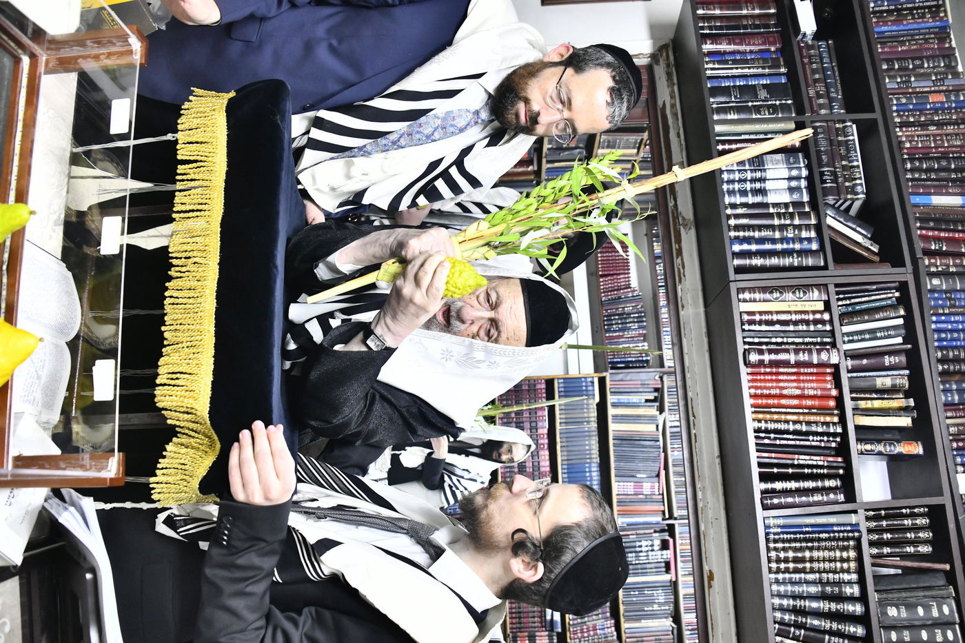 הגרב"ד פוברסקי בנטילת לולב