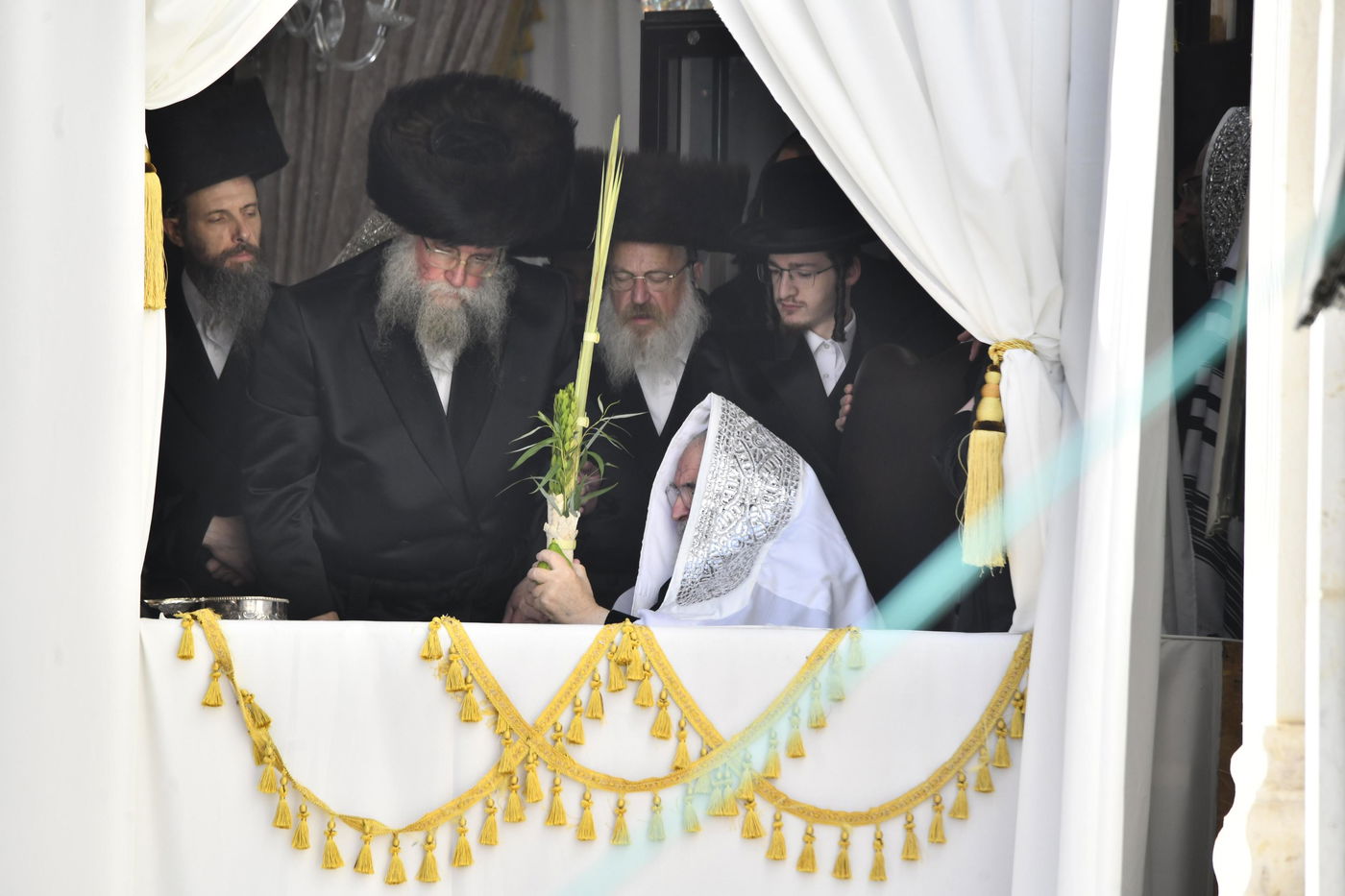 האדמו"ר מויז'ניץ בנענועים בחג הסוכות