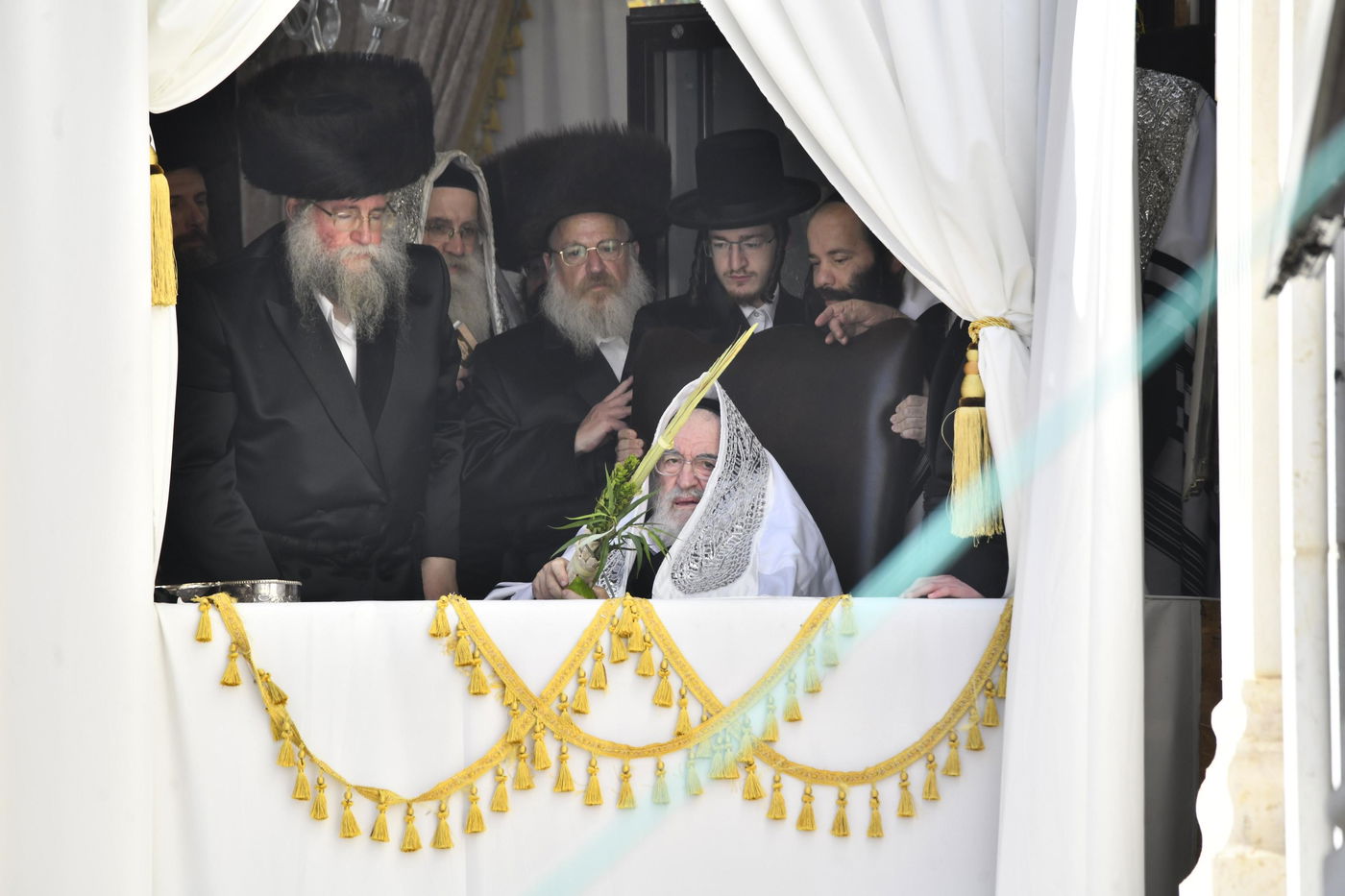 האדמו"ר מויז'ניץ בנענועים בחג הסוכות