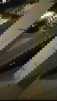 הנזקים שנגרמו לדירת ראש העיר