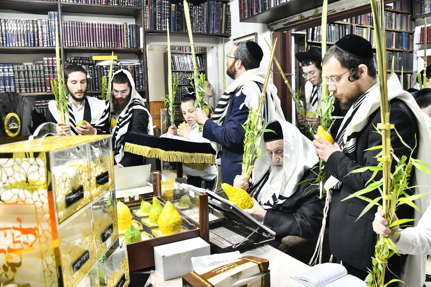 הגרב"ד פוברסקי בנטילת לולב