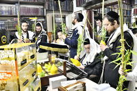 הגרב"ד פוברסקי בנטילת לולב