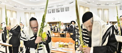 הגר"ד לנדו והגרמ"ה הירש בנטילת לולב