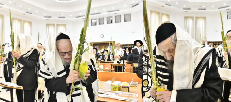 הגר"ד לנדו והגרמ"ה הירש בנטילת לולב